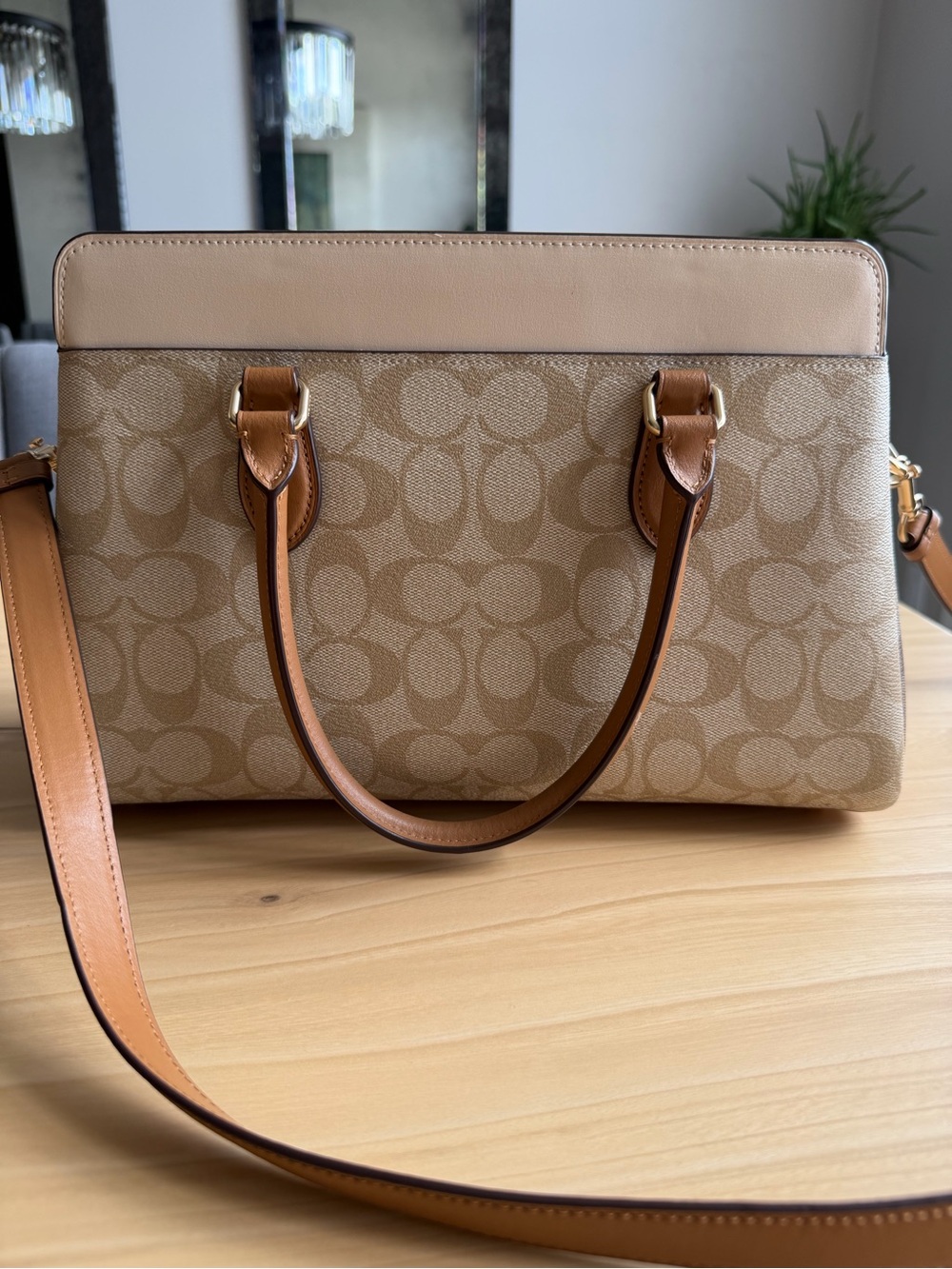 Coach Darcie Carryall Signature Bag - Picture 5 of 8